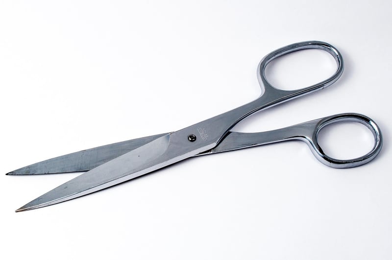 Kitchen Shears